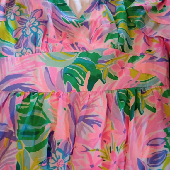Lilly Pulitzer dress - Picture 3 of 6